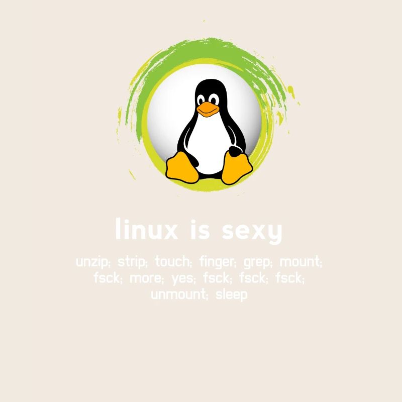 Computer System Penguin Nerd pc inside code admin