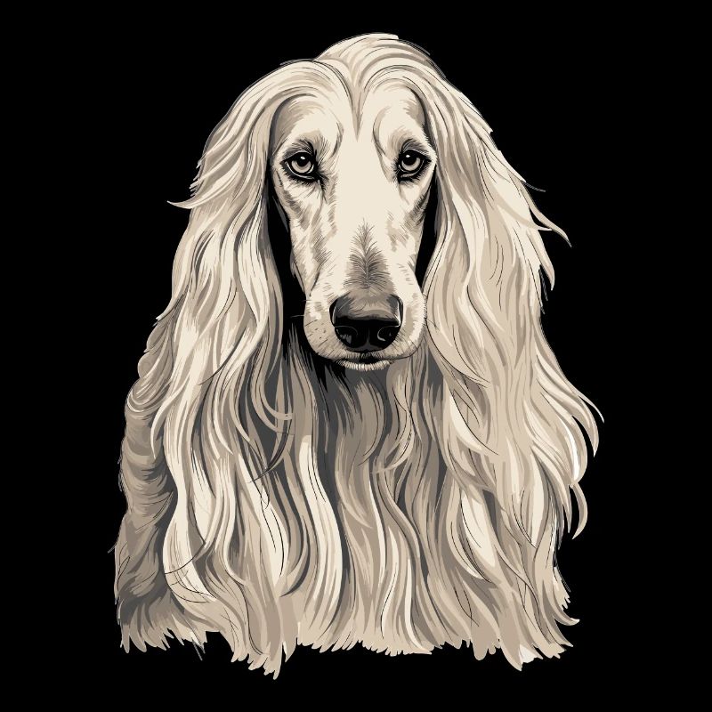 Chien Afghan Hound