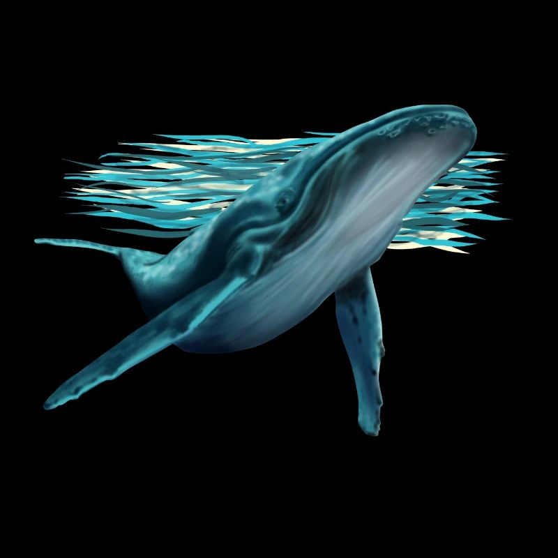 Whale