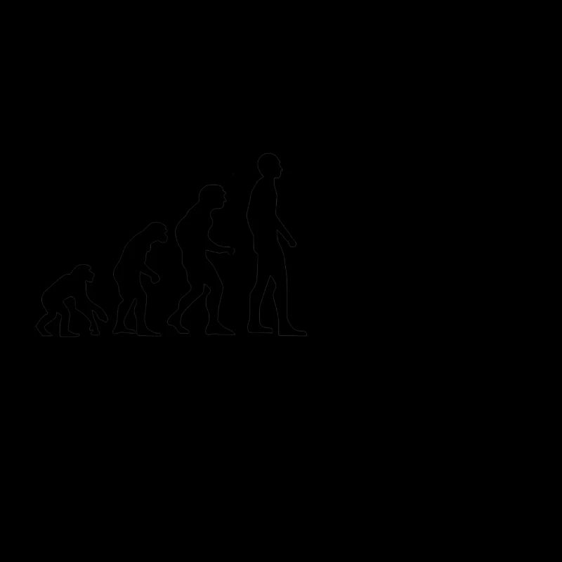 Reiterin Evolution Springreiten Pferde