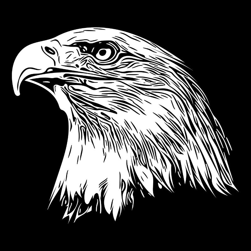 Eagle Portrait for Nature Bird Lovers