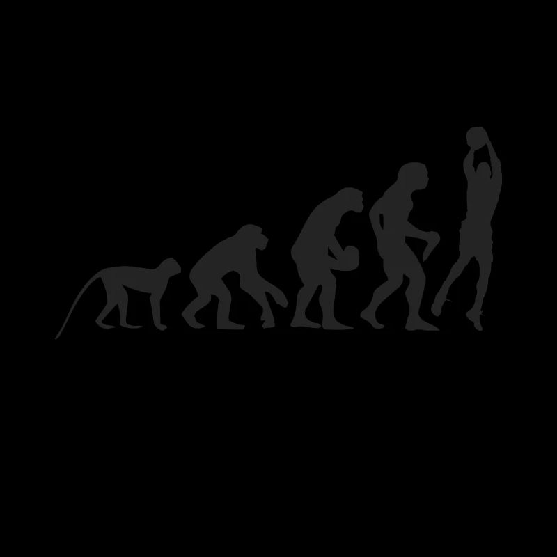 Evolution Basketball