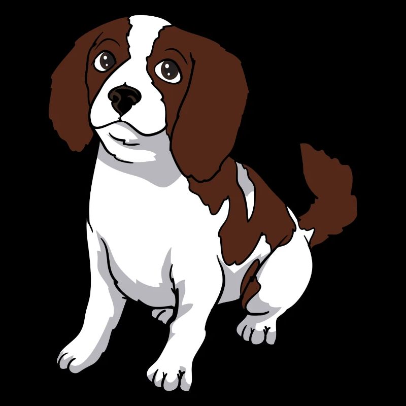 Cavalier King Charles Spaniel chien