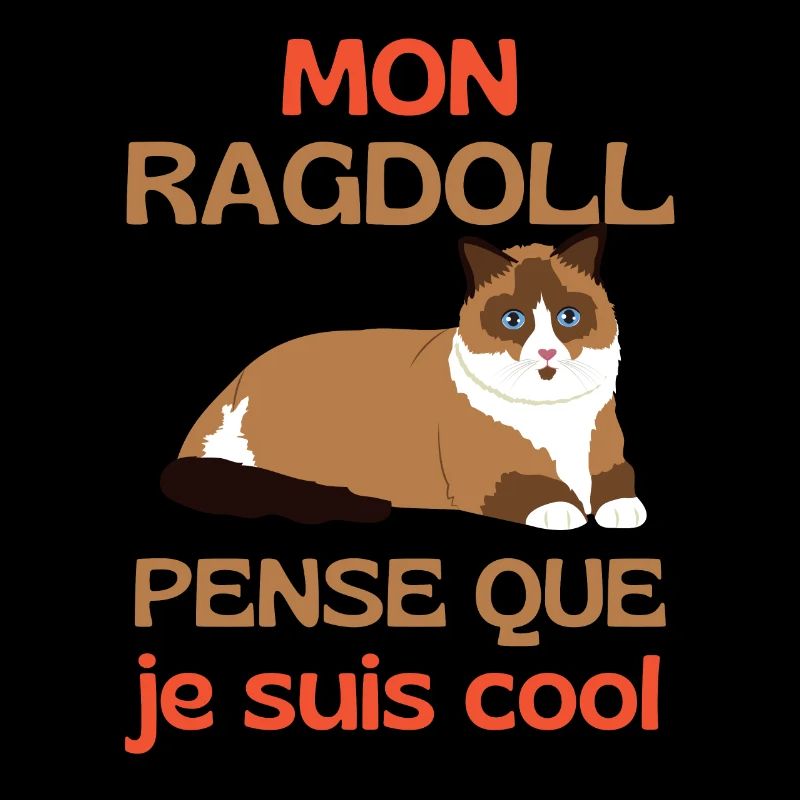 Chat mignon Ragdoll