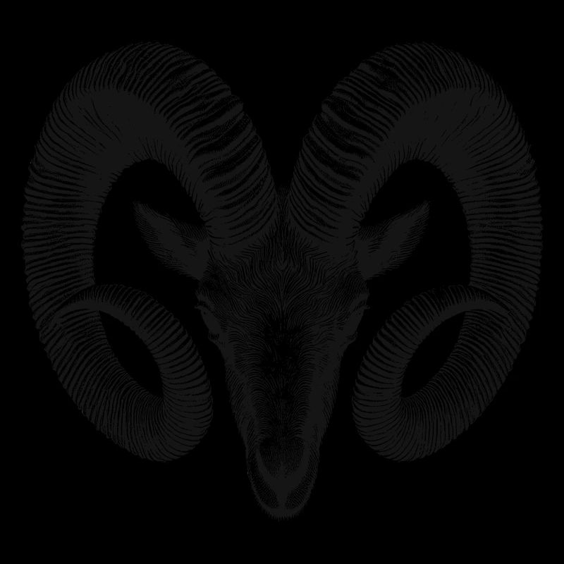 Ram