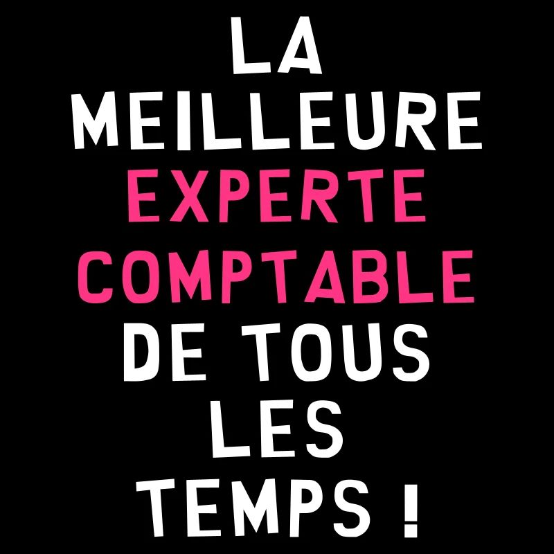Expert Comptable / Comptabilité / Comptable /