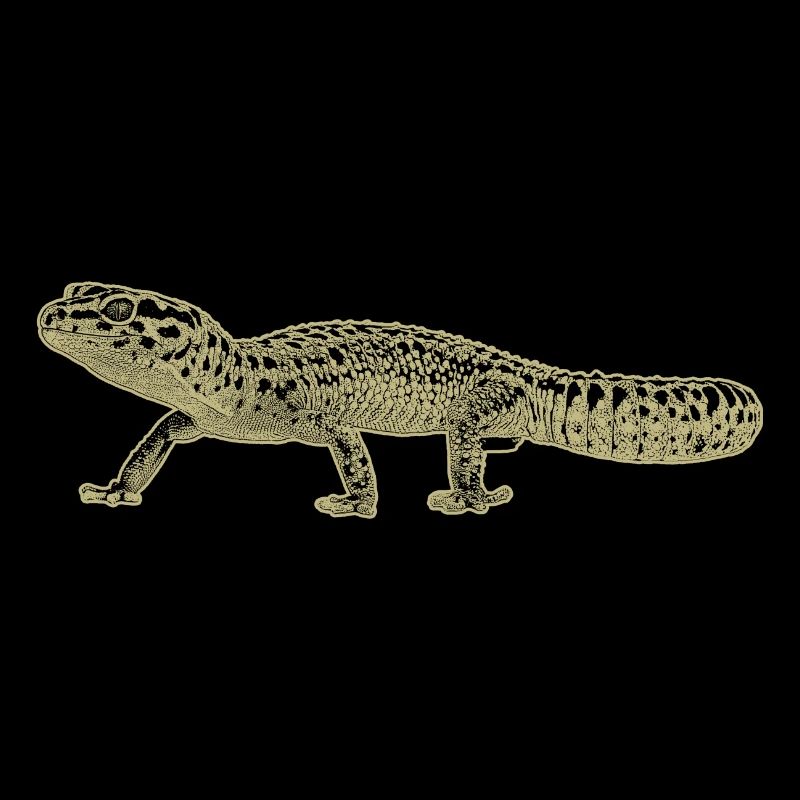 Gecko léopard