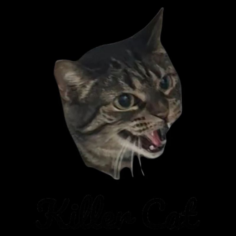 Killer Cat