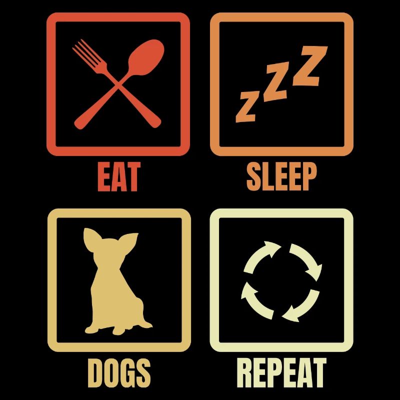 Daily routine for dog owners
