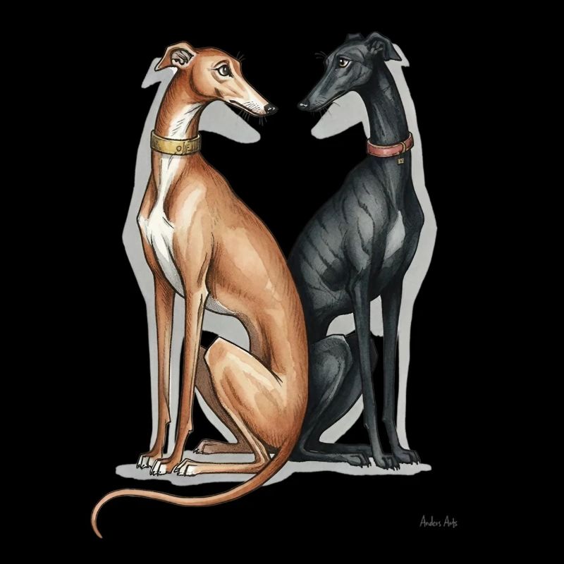 Zwei Galgos 