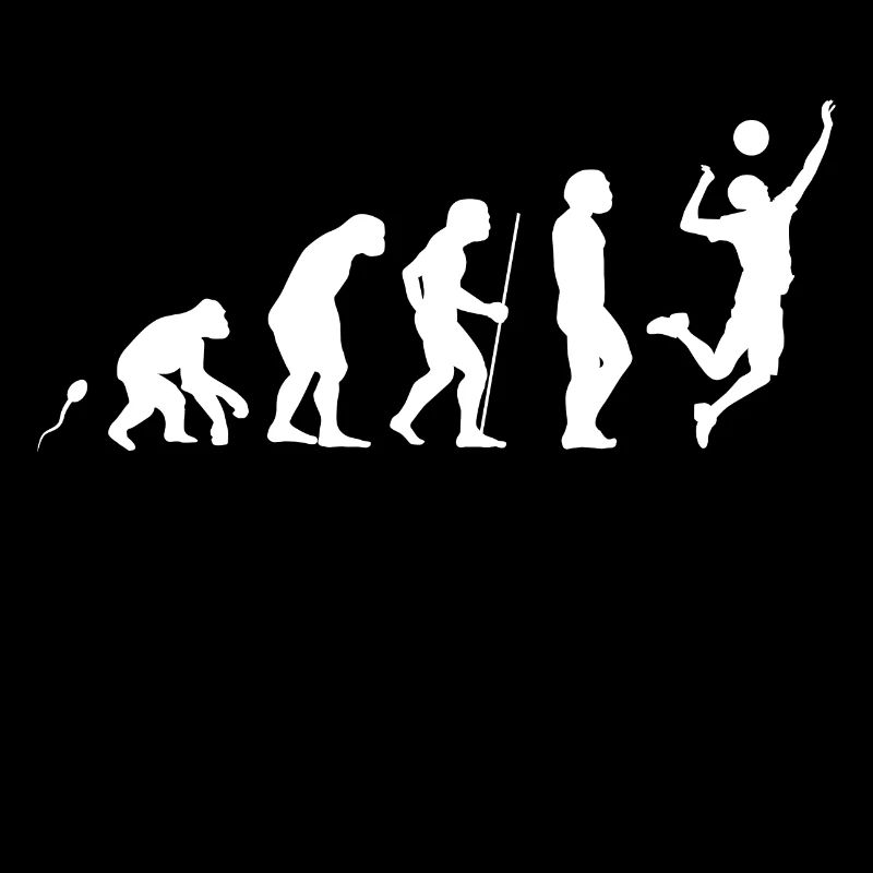 Evolution Volleyball 7