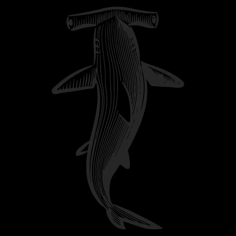 Conception de requin marteau