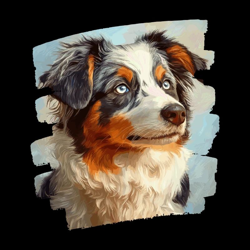 Australian Shepherd