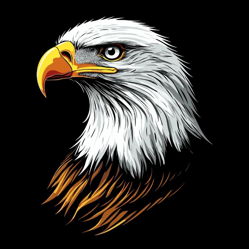 Aigle Pygargue à tête blanche Aigle royal Pygargue à queue blanche