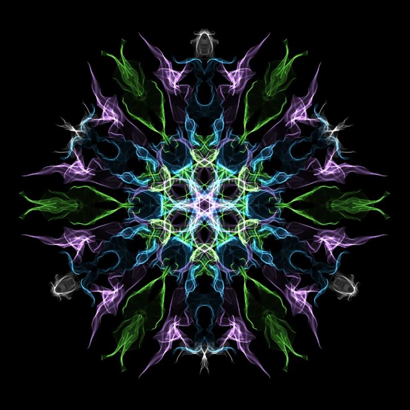 Purple Flower