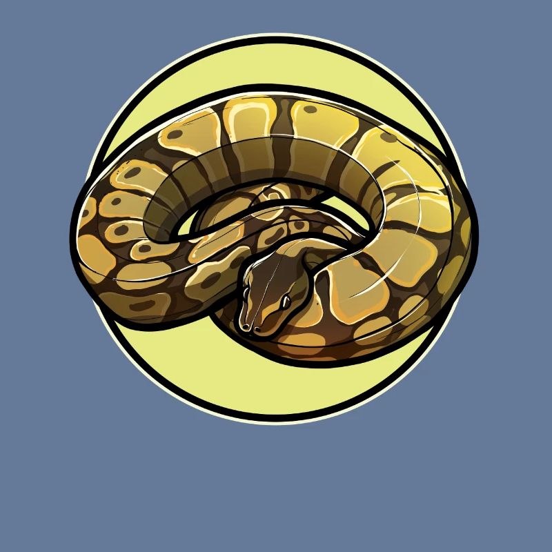 Ball Python Roi Python Roi Python