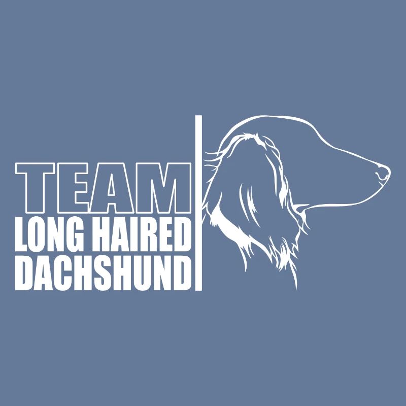 TEAM Teckel à poil long Chiens Teckel Wilsigns