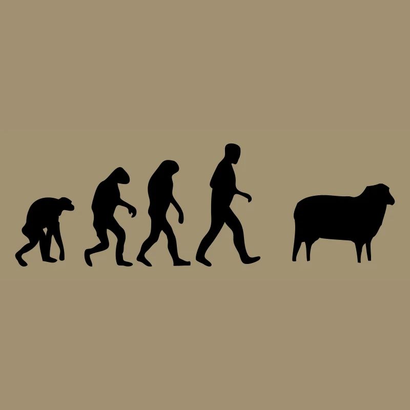 sheep evolution