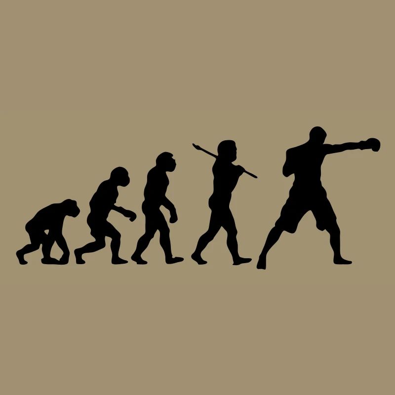 Boxing Evolution