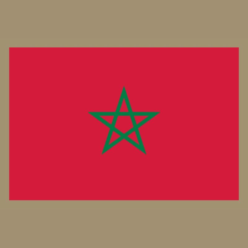 Drapeau Maroc / Moroccan flag