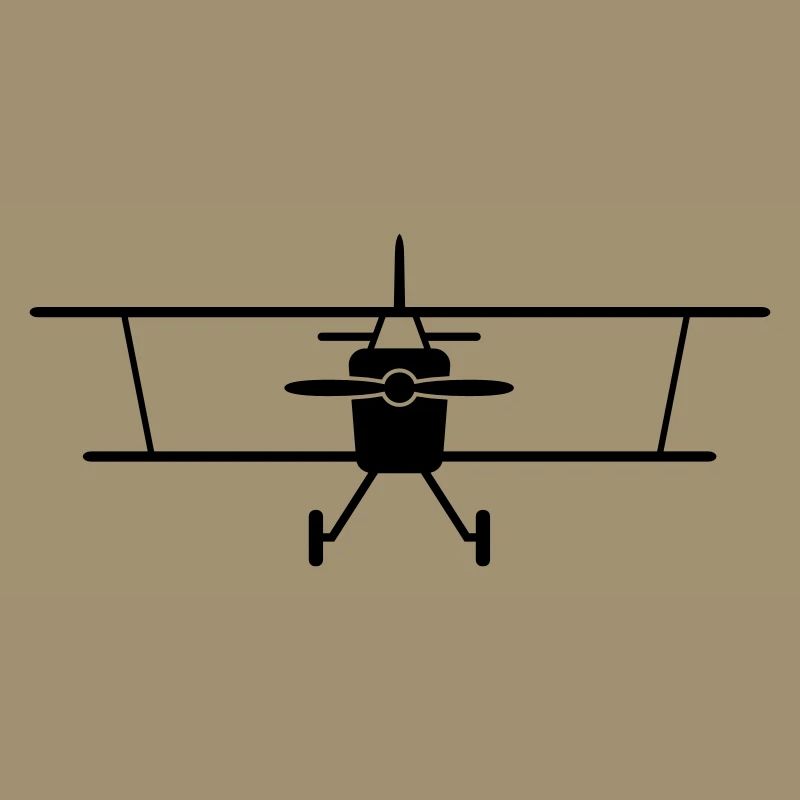 Fly a plane