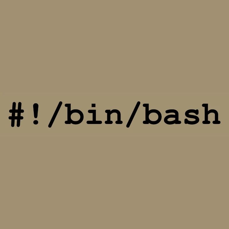 Bash / Bourne-Again Shell in Linux and Unix