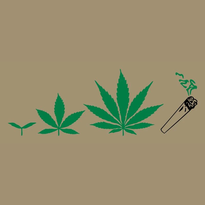 Cannabis development