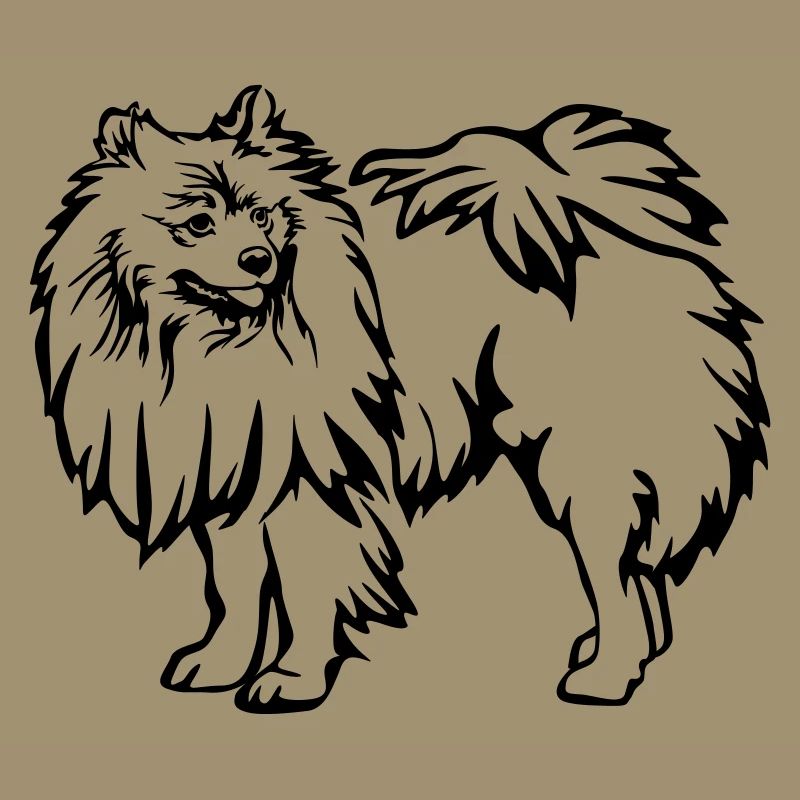 Spitz