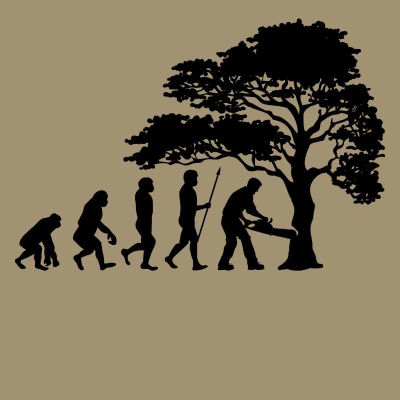 Lumberjack Tree Evolution sciure de bois