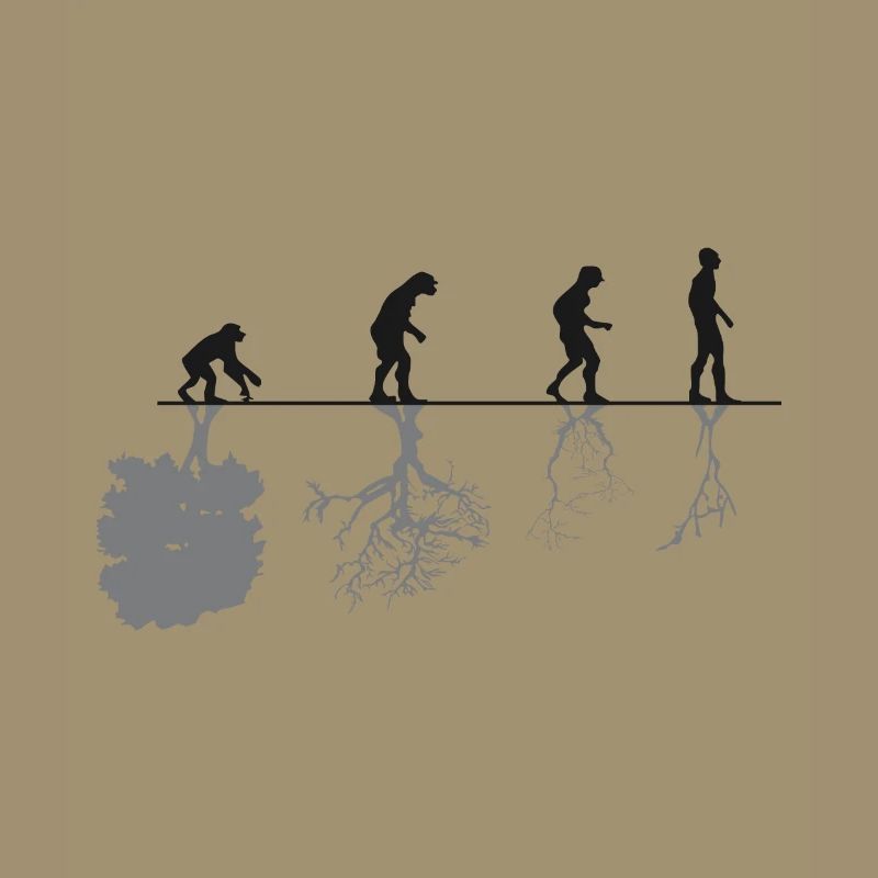 Evolution Black