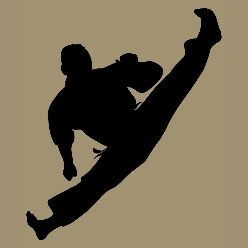 Jumpkick Geri Kick Karate oder Teakwondo