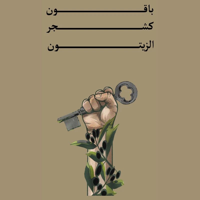 Solid like Oliven trees