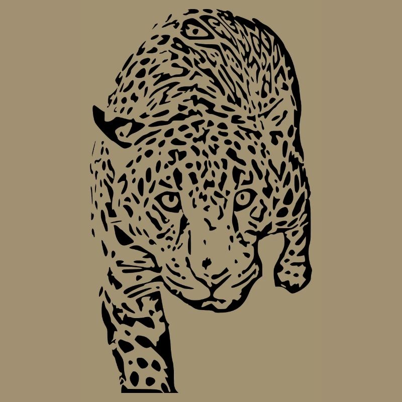 leopard schwarz schwarzer Leopard