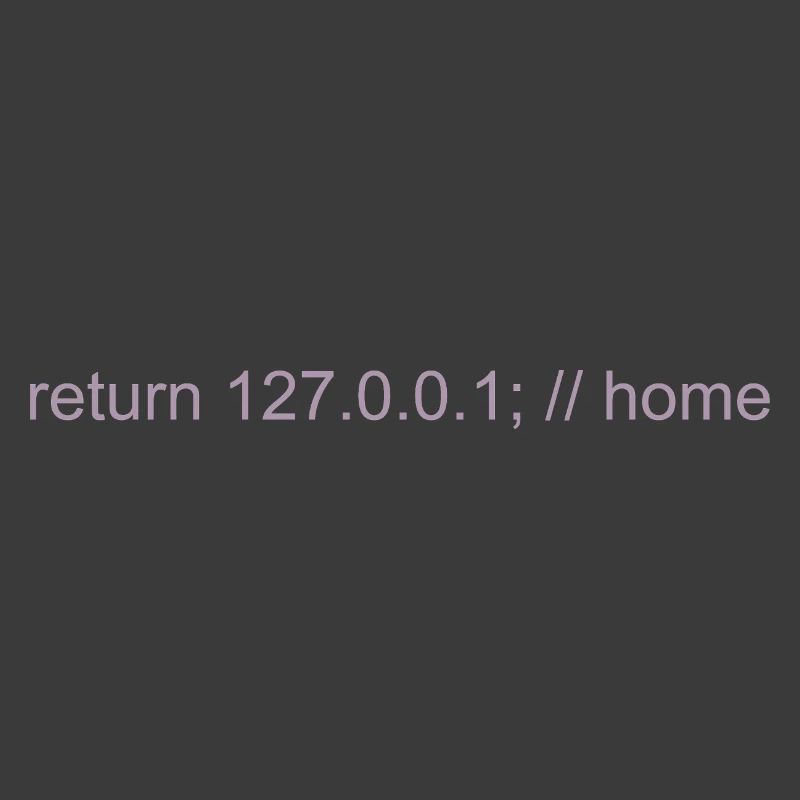 Programmer Nerd IT Joke Developer Home