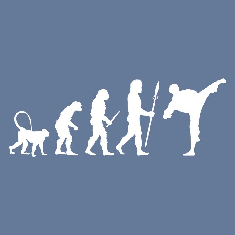 Évolution du karaté