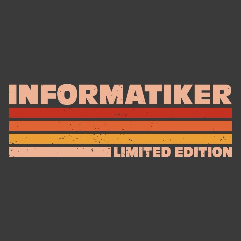 Informatiker Informatikerin Informatik