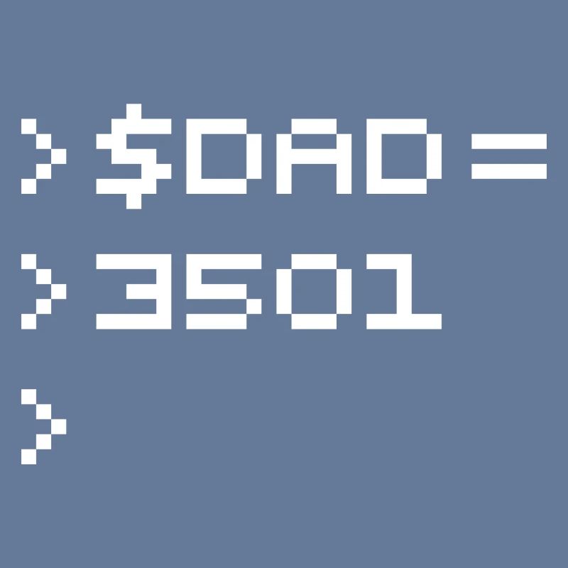 DAD Terminal de Pixels Nerd Code 8-Bits Rétro