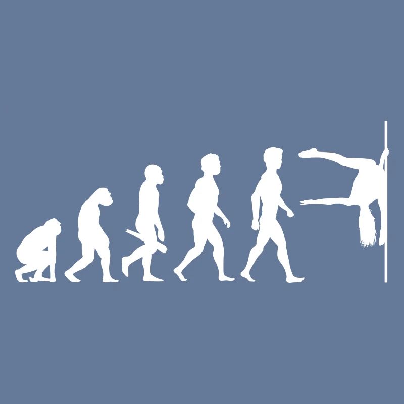 Evolution Poledance Pole Dancing Stange Tanzen