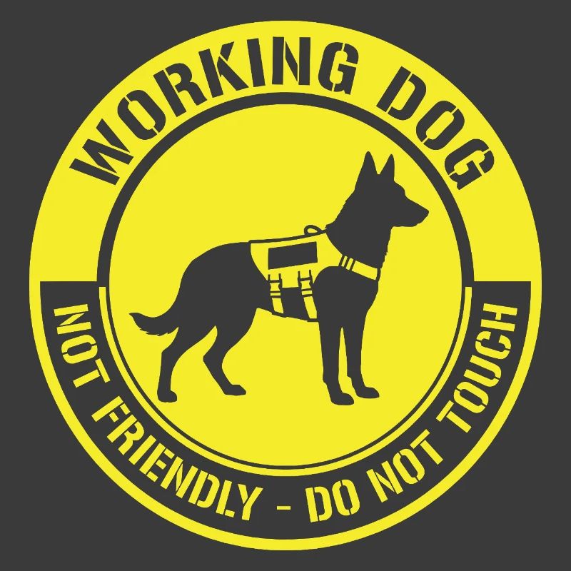 Not Friendly Dog Working Funny Meme