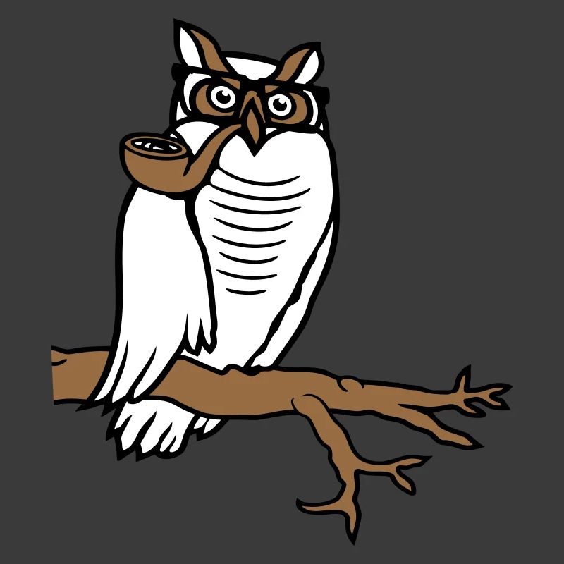 Owl Pipe Smoking Old Grandpa Eagle Owl Branch Tree Forest