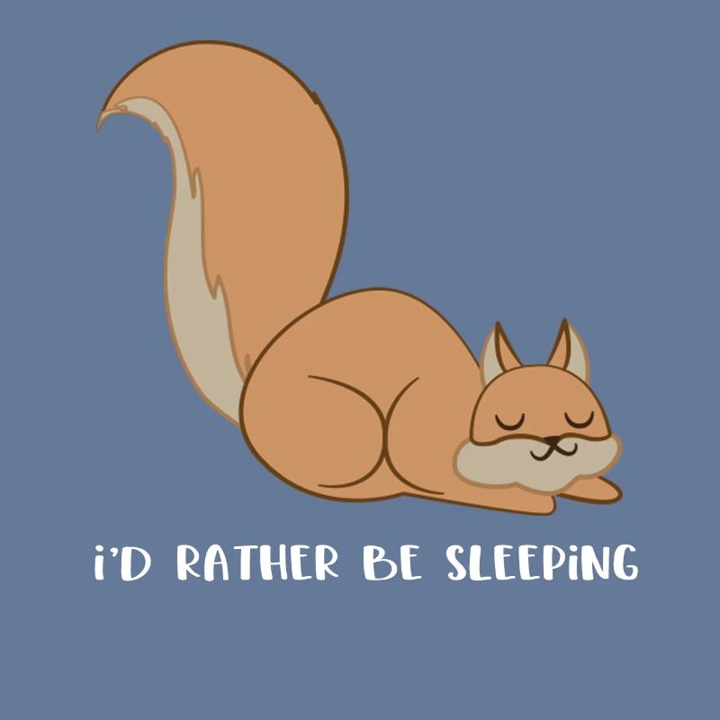 Squirrel - squirrel fan - sleeping