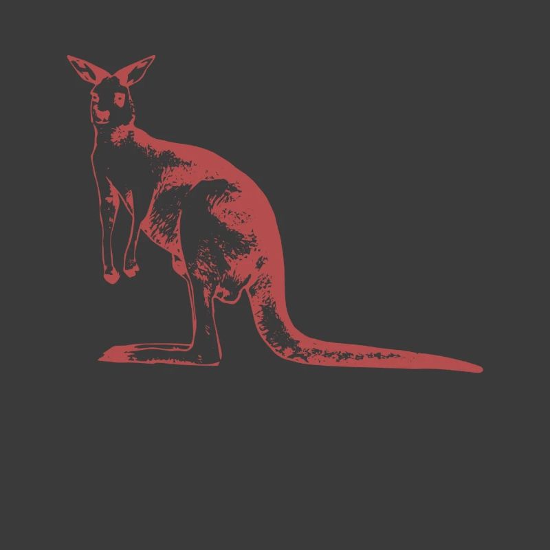 kangaroo