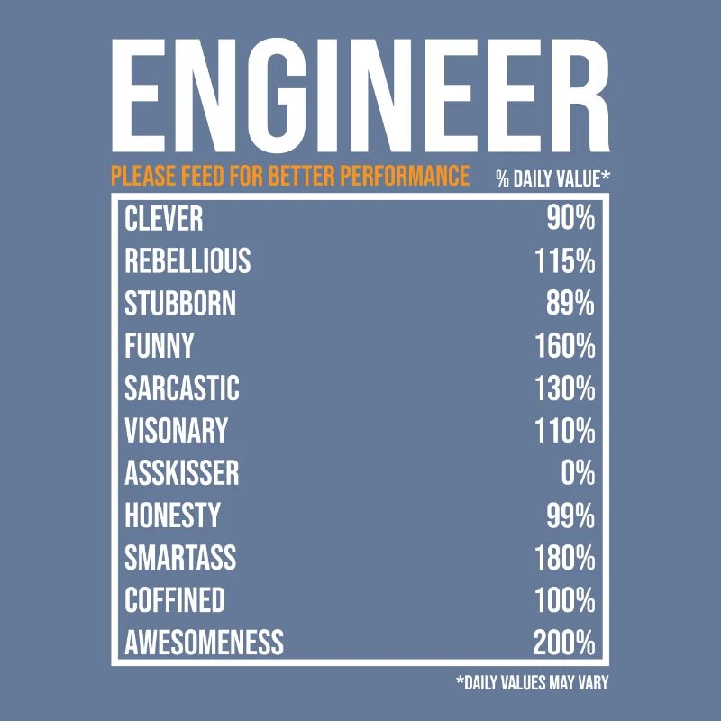 Engineer Daily Values Funny Engineer