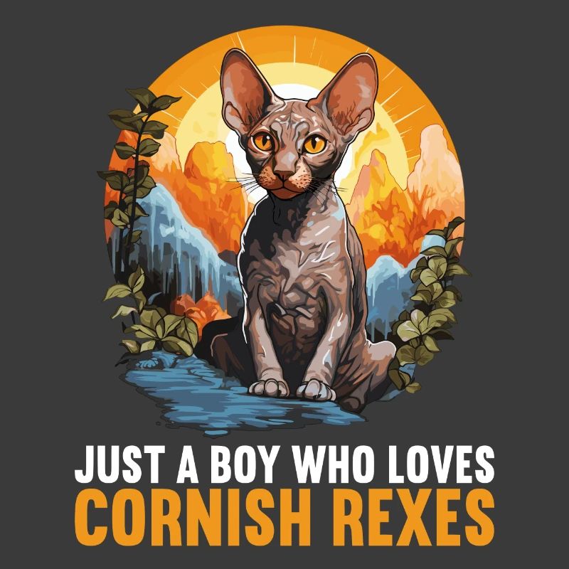 Cornish Rex Kätzchen Cornish Rex Katze