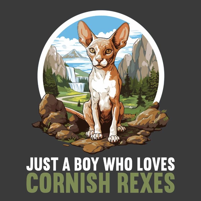 Cornish Rex Kätzchen Cornish Rex Katze