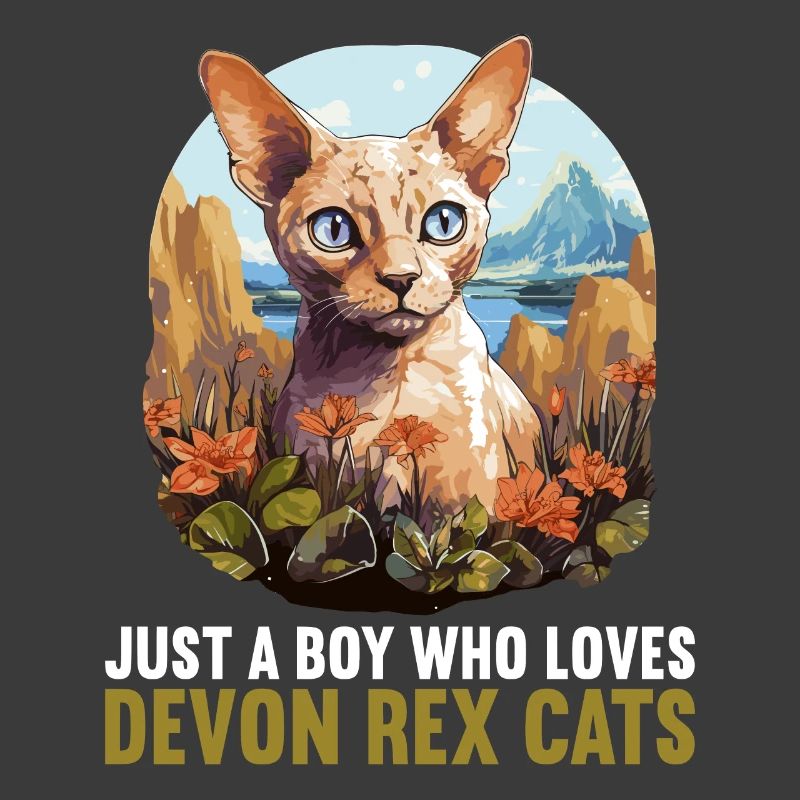Devon Rex Kätzchen Devon Rex Katze