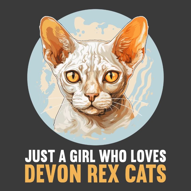 Chaton Devon Rex Chat Devon Rex