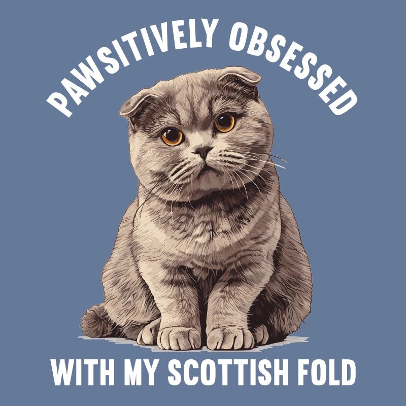 Scottish Fold Kitten Scottish Fold Cat