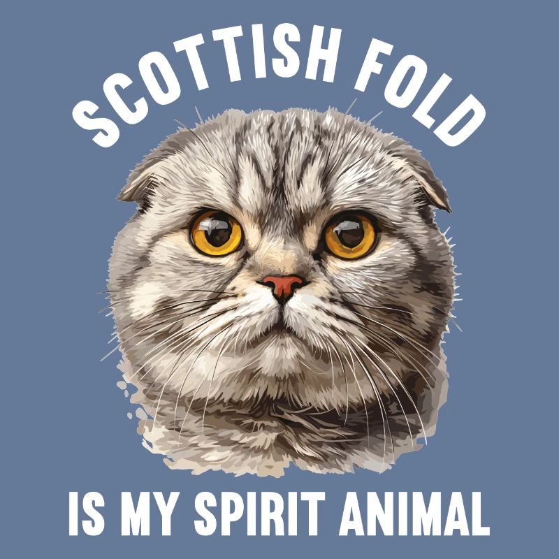 Scottish Fold Kätzchen Scottish Fold Katze