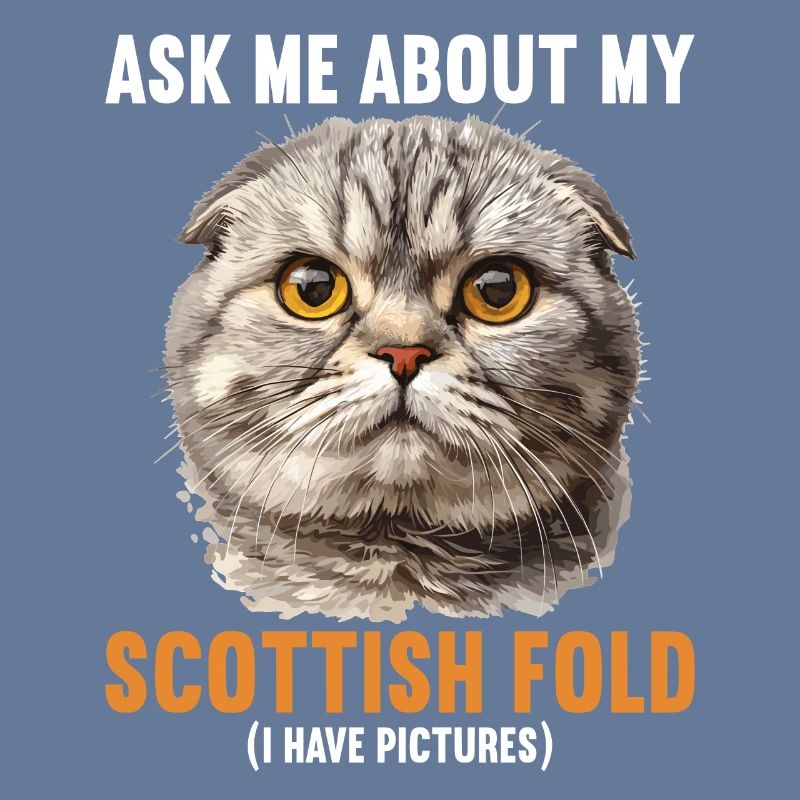 Scottish Fold Kätzchen Scottish Fold Katze
